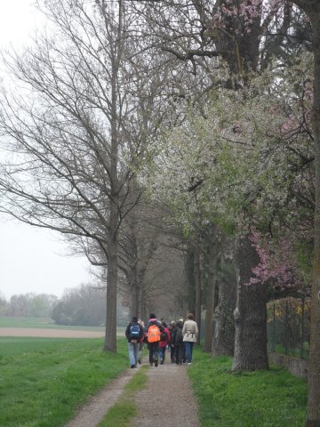 Pilgerweg Bogenberg 2016 01